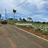 [HOT] Duy nhất còn 1 lô tại NaLi Chill - Homestay and BBQ giá bán chỉ 850TR